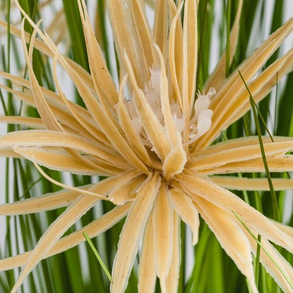 Декорація ARALIA 63157 фото
