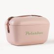 Дорожній холодильник Polarbox 20л