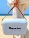 Дорожній холодильник Polarbox 12л 9494 фото